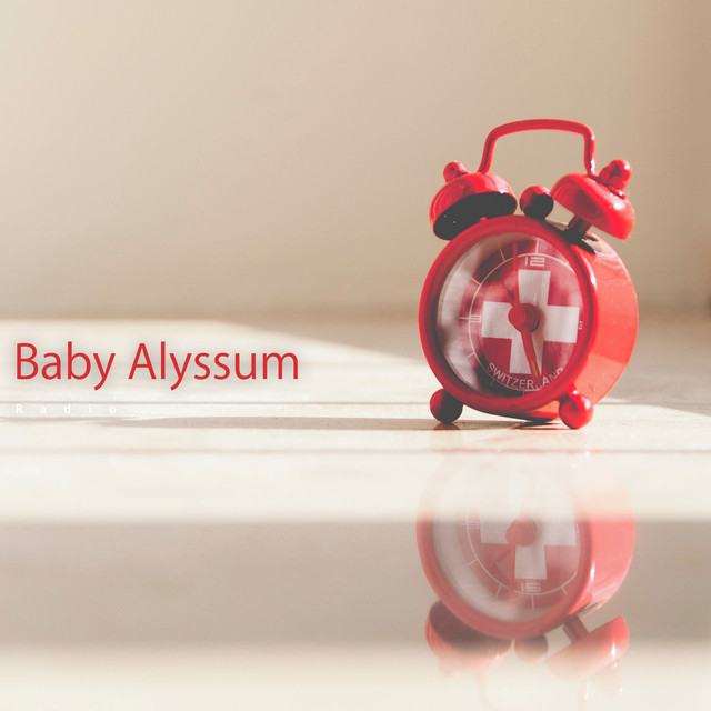 Baby Alyssum album cover