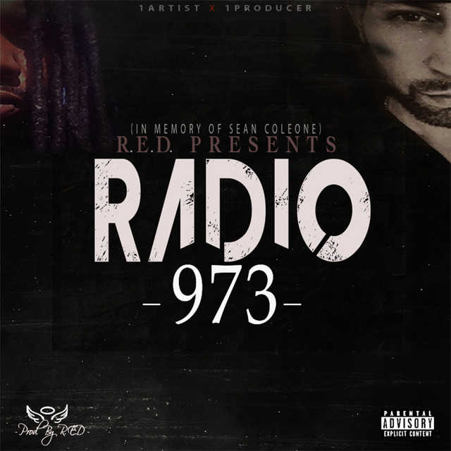973 album cover