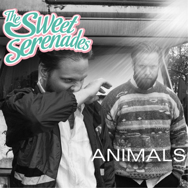 Animals album cover