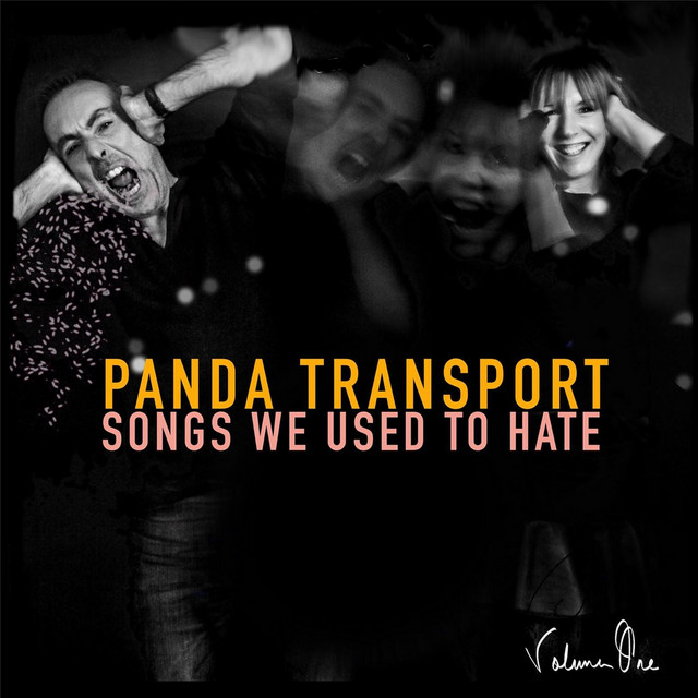 Songs We Used to Hate album cover