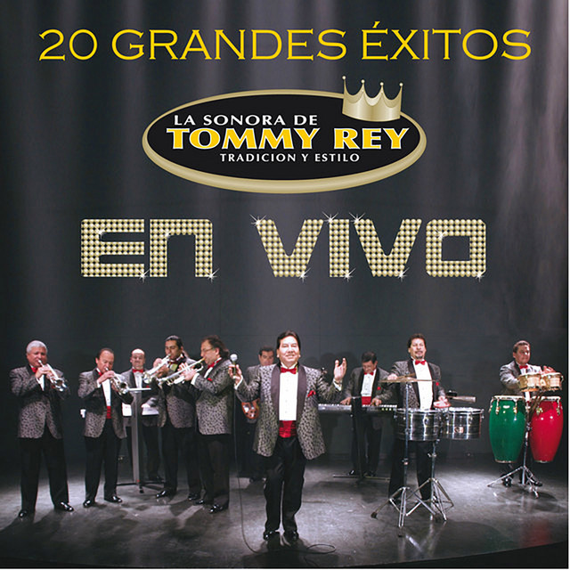20 Grandes Éxitos (En Vivo) album cover