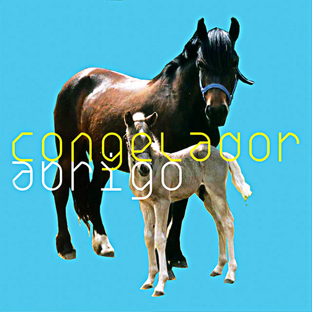 Abrigo album cover