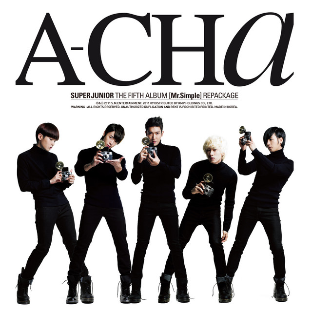 Mr.Simple - The 5th Album Repackage album cover