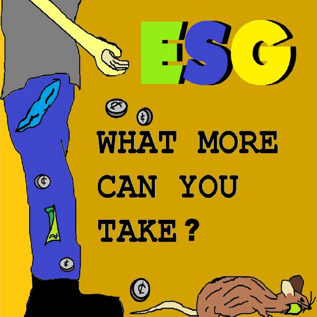 What More Can You Take? album cover