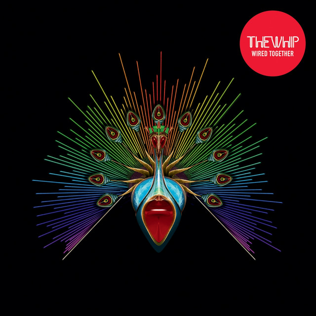 Wired Together album cover