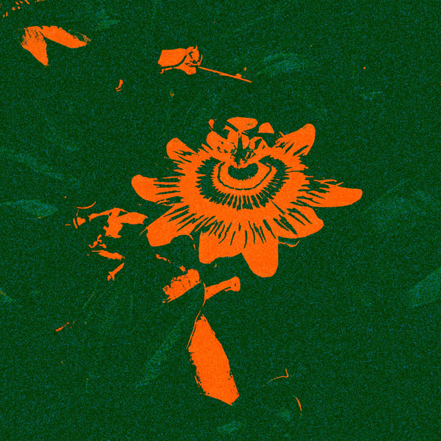 compilation five album cover