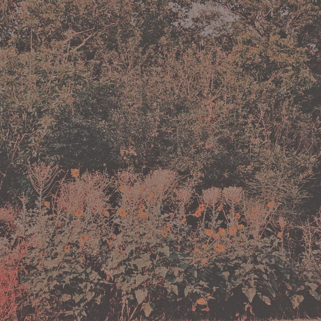 compilation album cover
