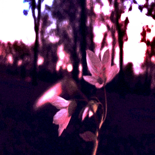 old songs 2014 album cover