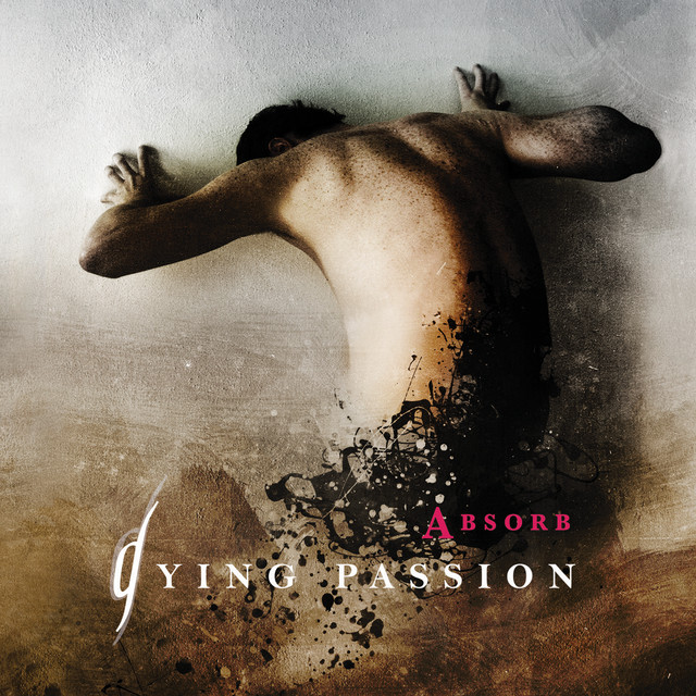 Absorb album cover