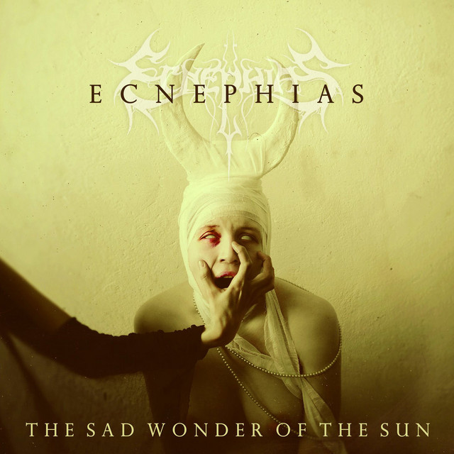 The Sad Wonder of the Sun album cover