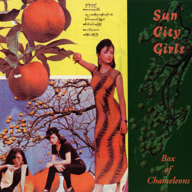 Box Of Chameleons album cover