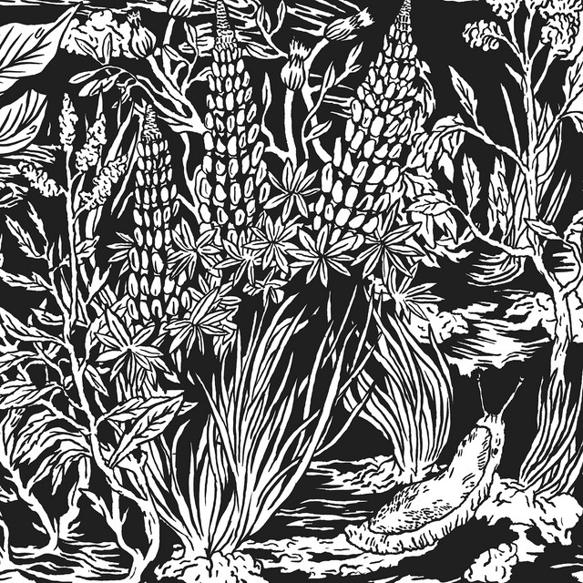 Wild Strawberries album cover