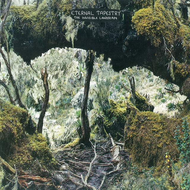The Invisible Landscape album cover