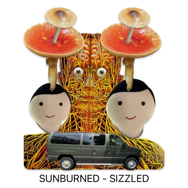 Sizzled album cover
