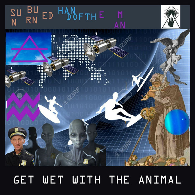 Get Wet With the Animal