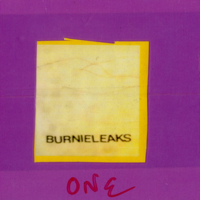 Burnieleaks 1 album cover