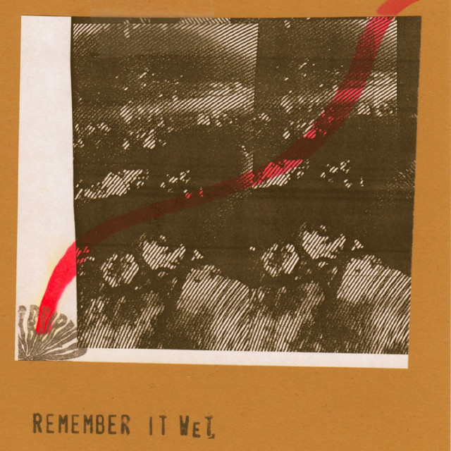 Remember It Wet album cover