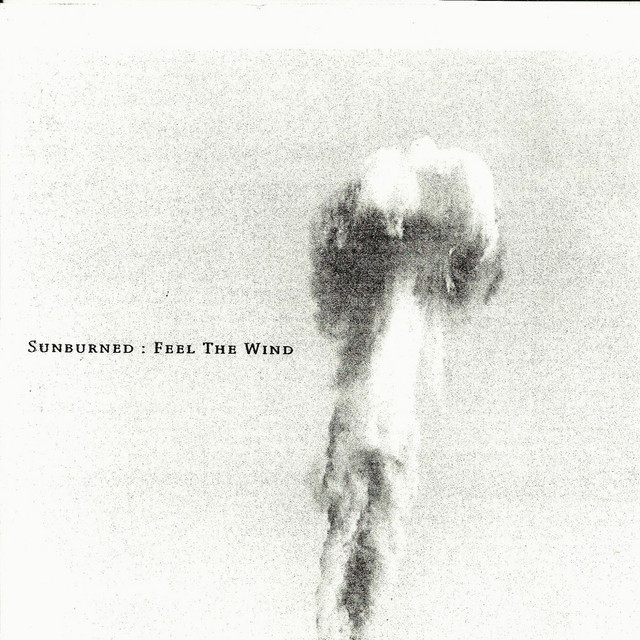 Feel the Wind album cover