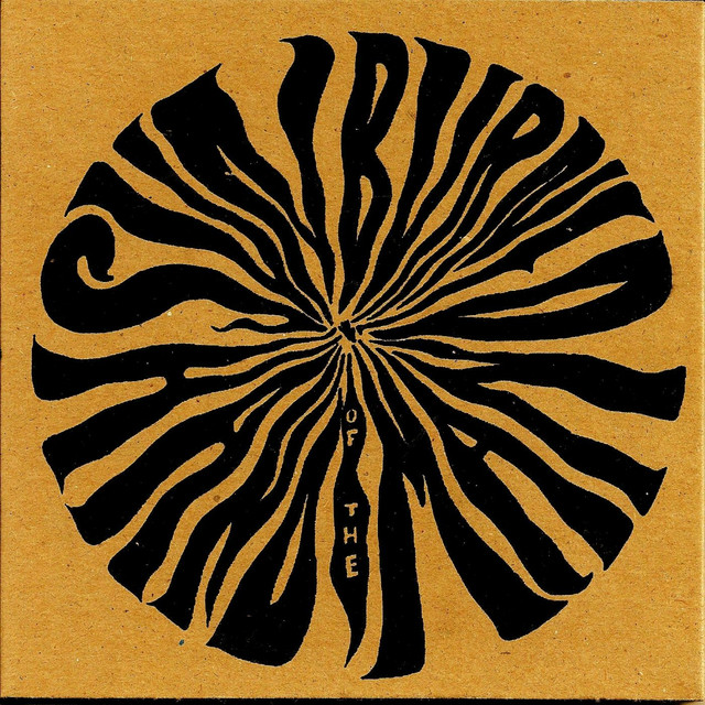 The Secret in Disguise album cover