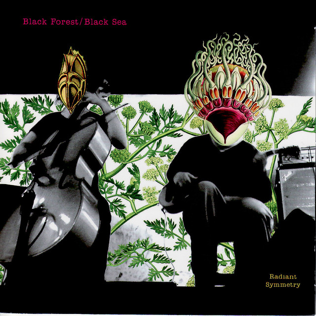 Radiant Symmetry album cover