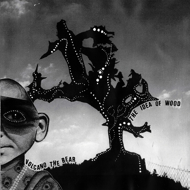 The Idea Of Wood album cover