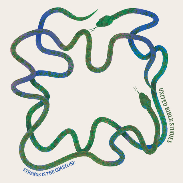 Strange is the Coastline album cover