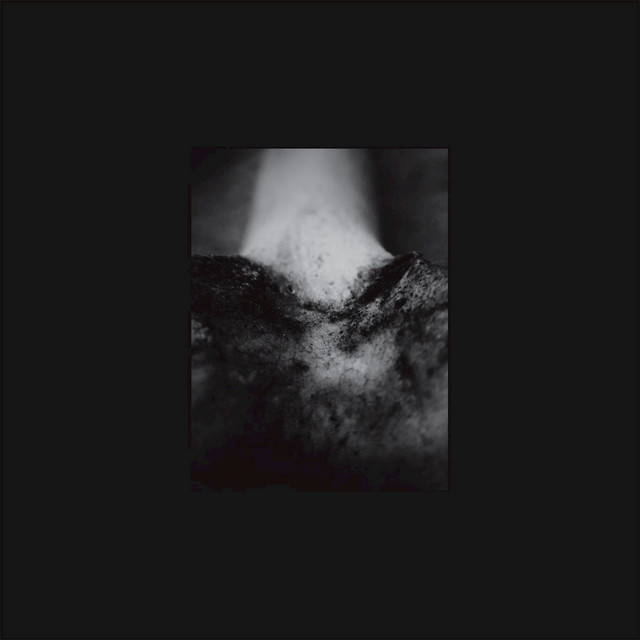 A Wound of Body album cover