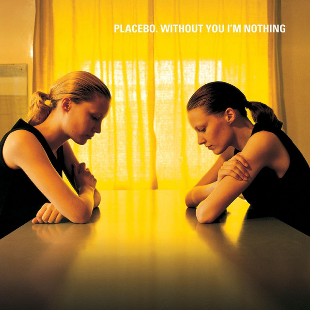 Without You I'm Nothing album cover
