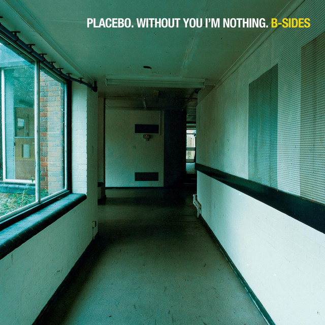 Without You I'm Nothing: B-Sides album cover