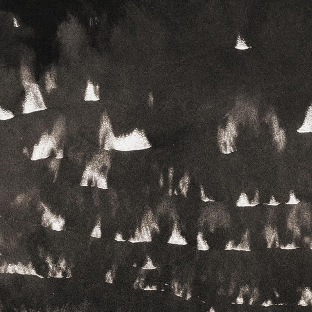 Fields Within Fields album cover