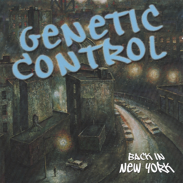 Back In New York album cover