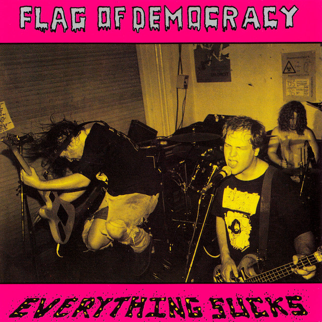 Everything Sucks album cover