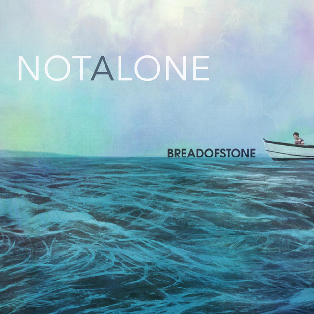 Not Alone album cover
