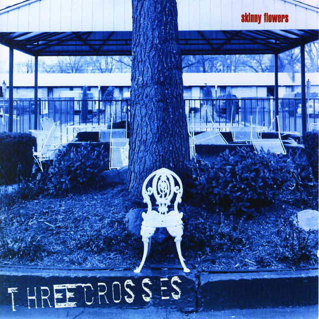 Skinny FLowers album cover