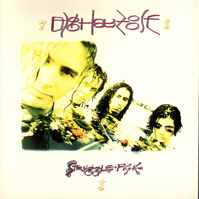 Struggle Fish album cover