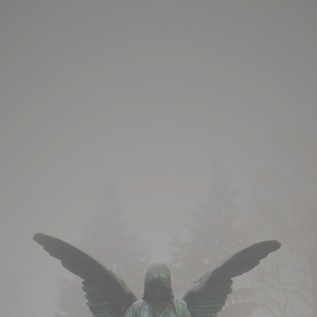 pity / piety album cover