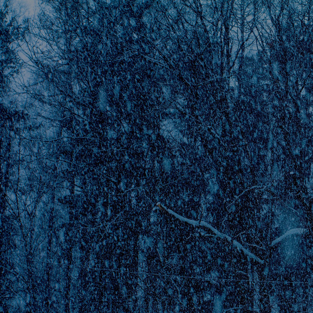 Never album cover