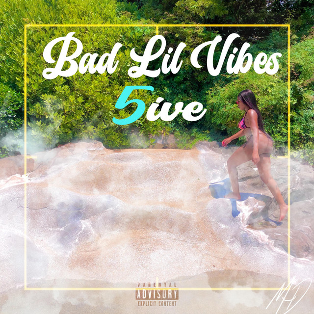 Bad Lil Vibes album cover