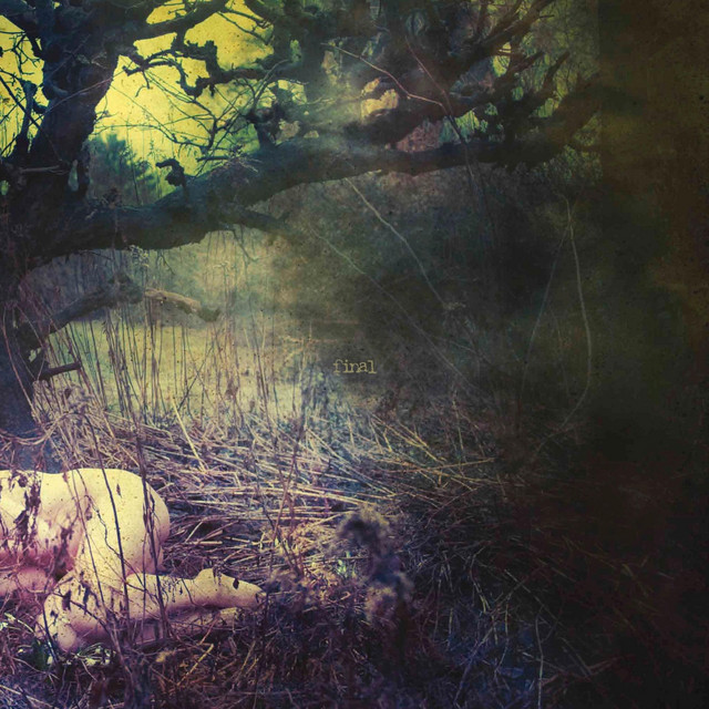 The Apple Never Falls Far From The Tree album cover