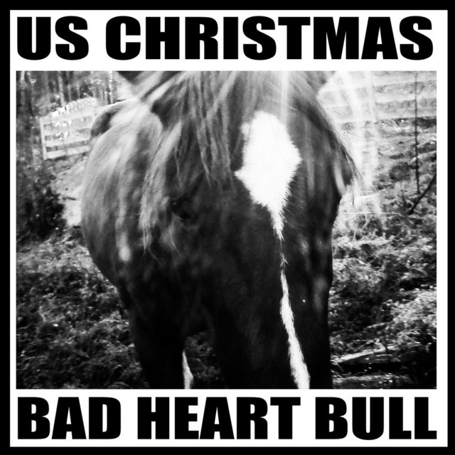 Bad Heart Bull album cover