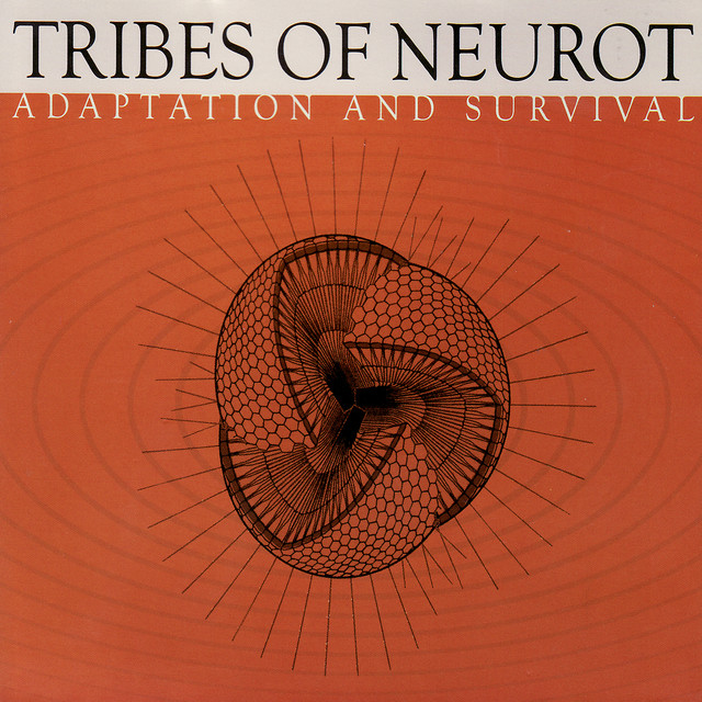 Adaptation And Survival album cover