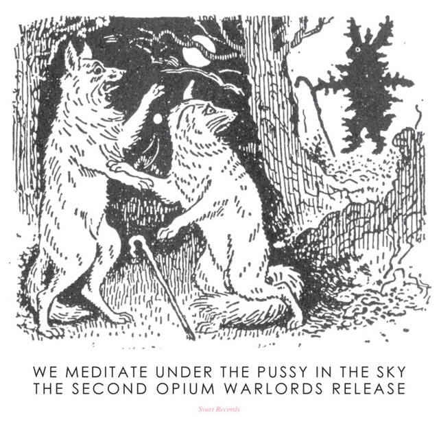 We Meditate Under the Pussy in the Sky album cover