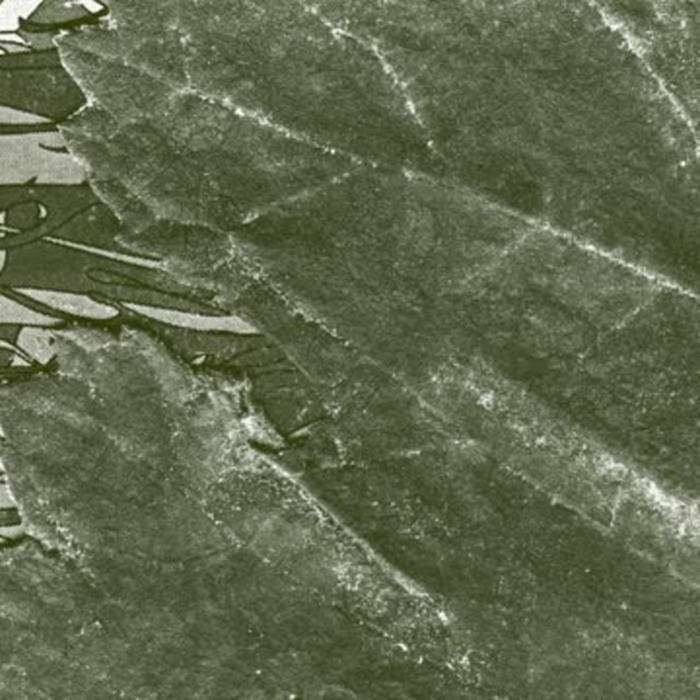 Housing Tracts ‎ album cover