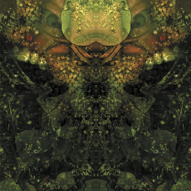 Edward's Lament album cover