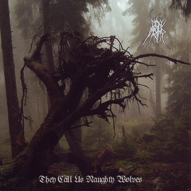 They Call Us Naughty Wolves album cover