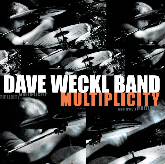Multiplicity album cover