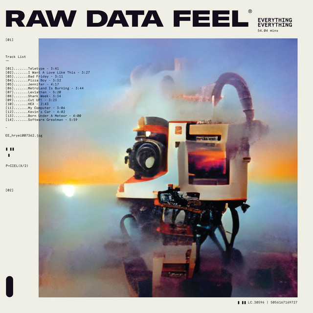 Raw Data Feel album cover