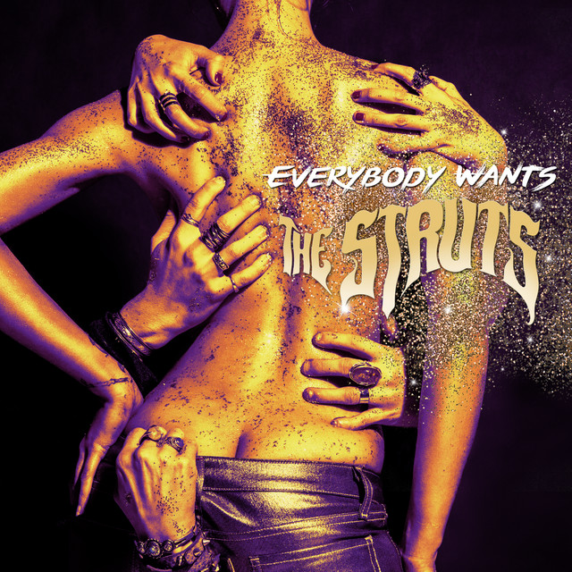 Everybody Wants album cover