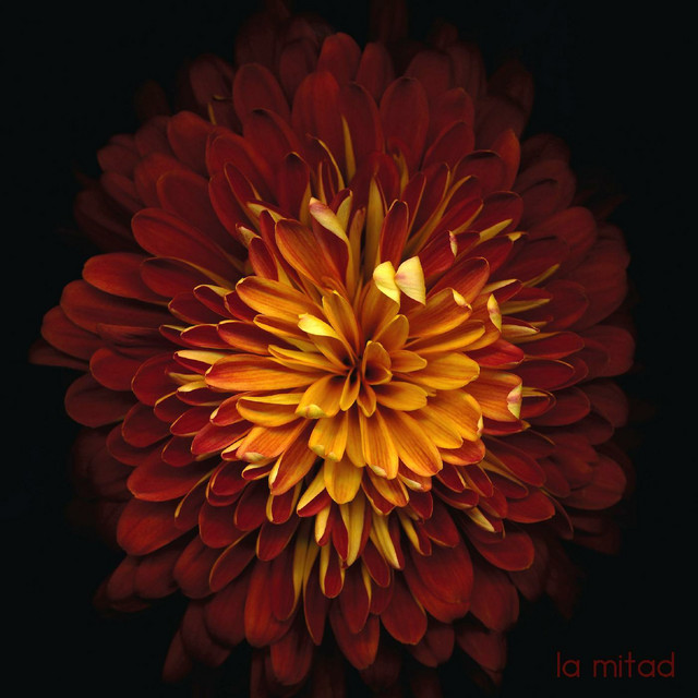 La Mitad album cover