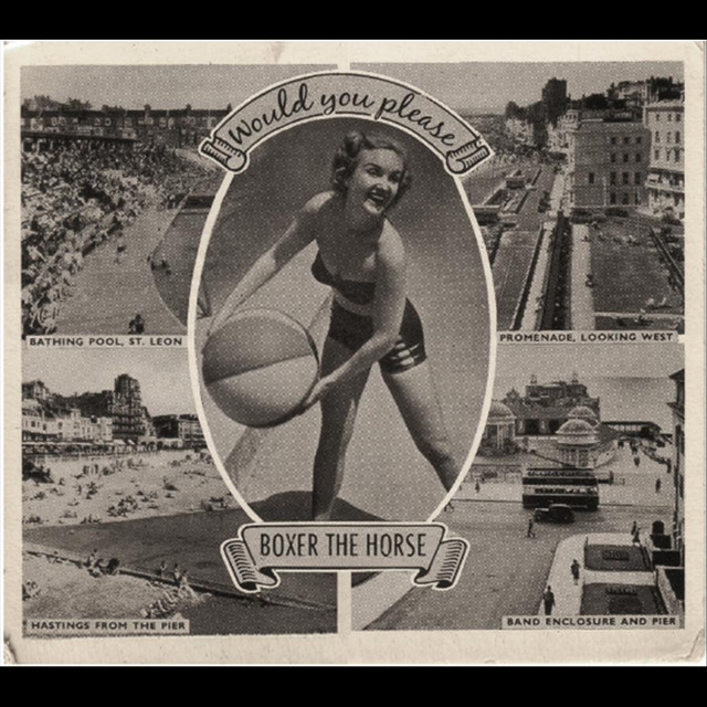 Would You Please album cover